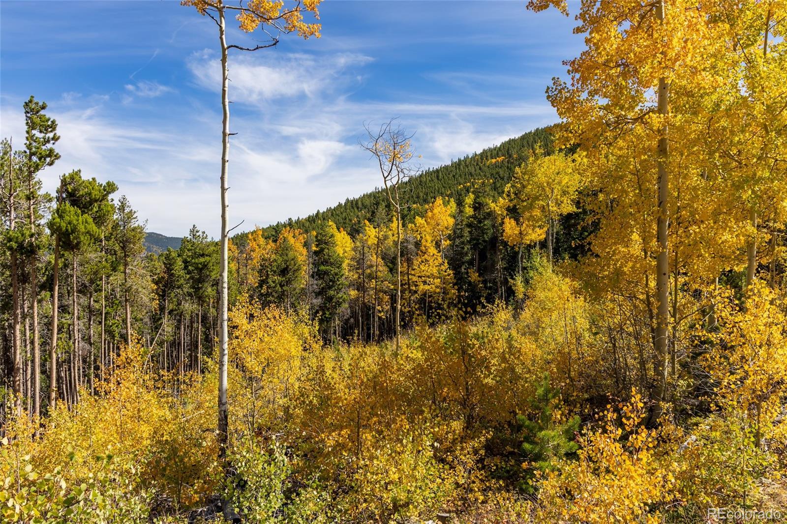 2 Seldom Seen Road Black Hawk, CO 80422 - Photo 23 of 37