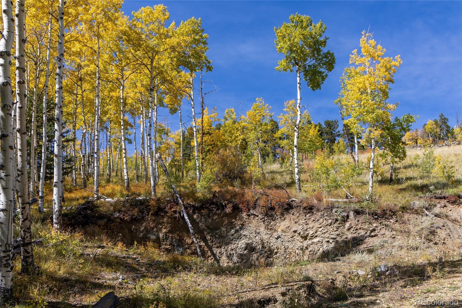 2 Seldom Seen Road Black Hawk, CO 80422 - Photo 8 of 37