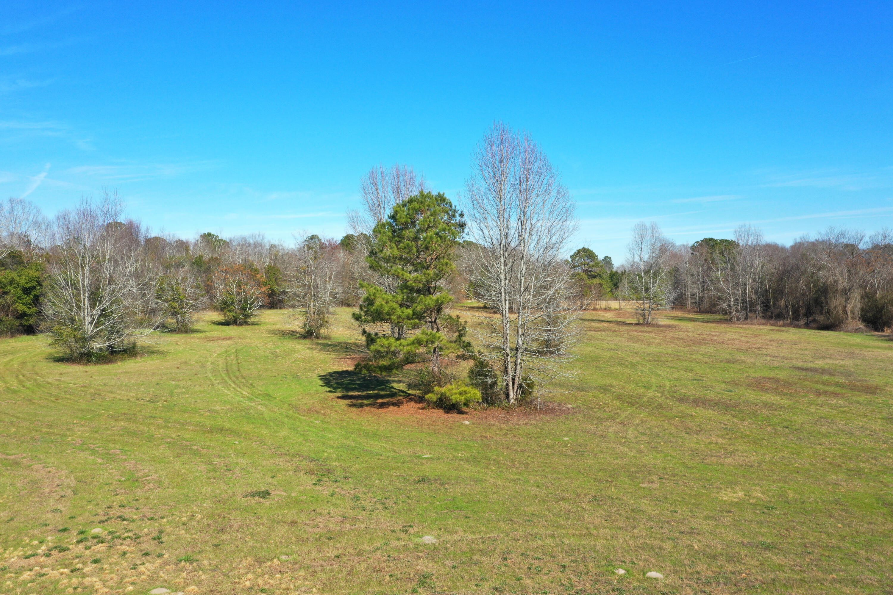 Lot 32 Cowdry Park Road Beech Island, SC 29842 - Photo 7 of 18