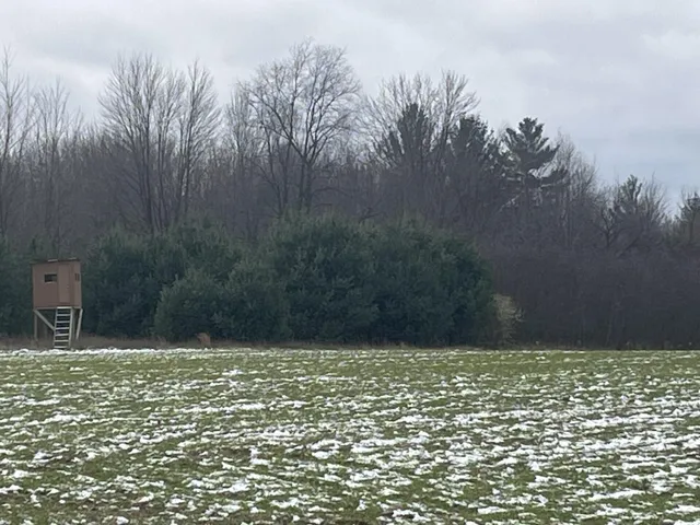 $147,000 | Par A Nimberger Road, Lakeview, MI 48850