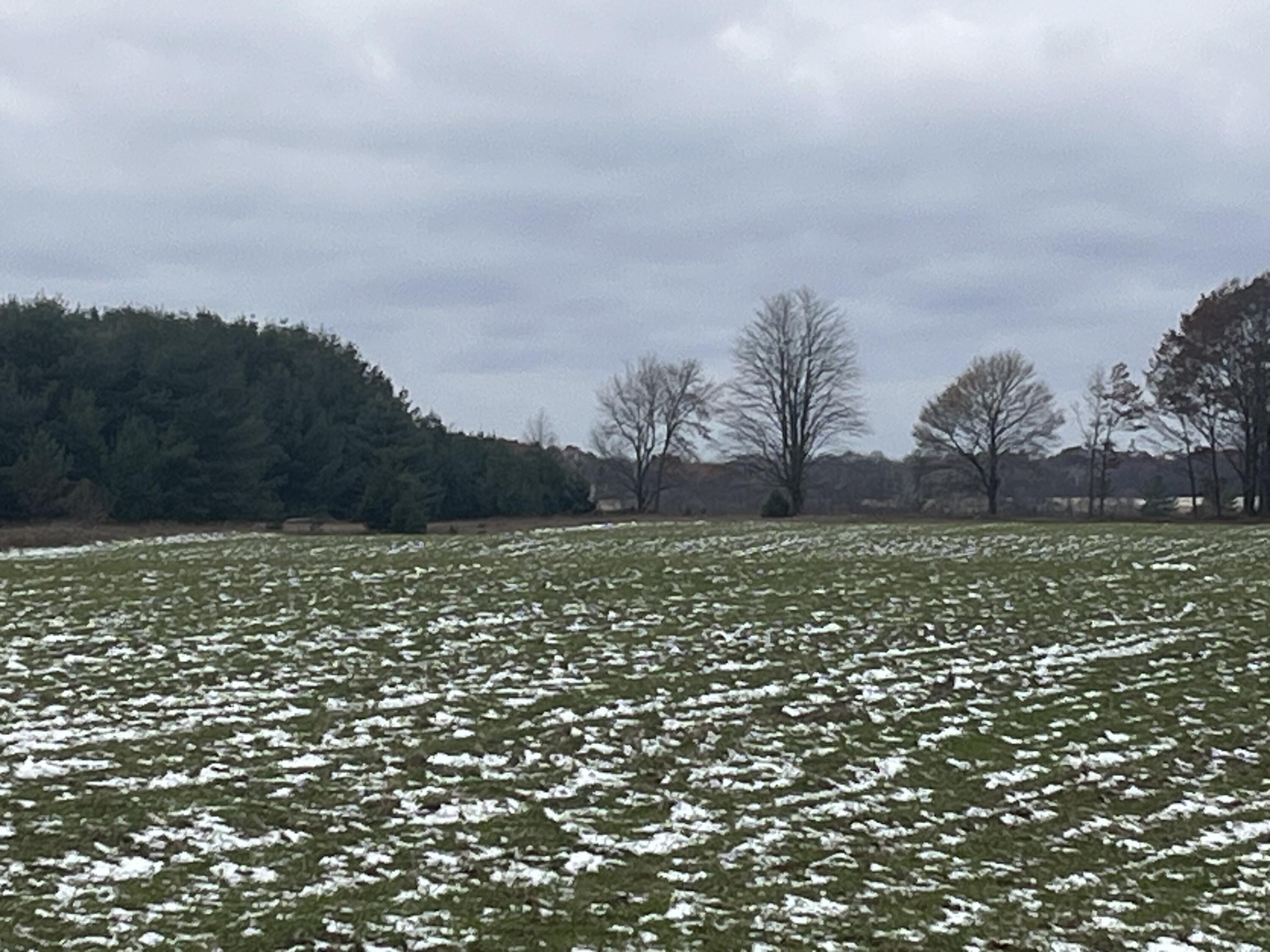 Par A Nimberger Road Lakeview, MI 48850 - Photo 3 of 4 IMG_0503