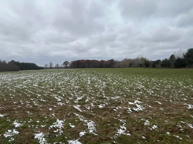 $147,000 | Par A Nimberger Road, Lakeview, MI 48850