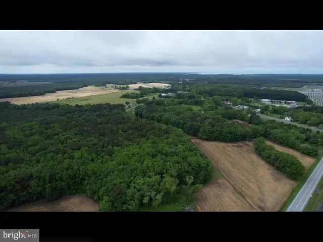 a view of outdoor space with garden
