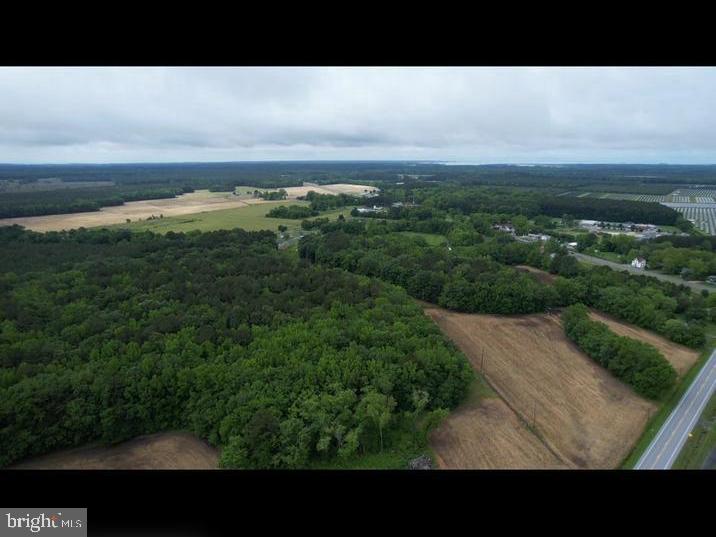 30299 Sam Barnes Road Westover, MD 21871 - Photo 3 of 4