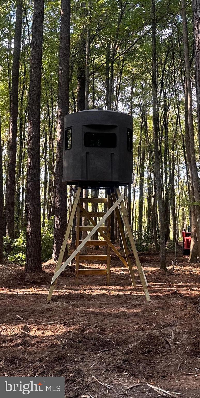 30299 Sam Barnes Road Westover, MD 21871 - Photo 4 of 4 a view of outdoor space with garden