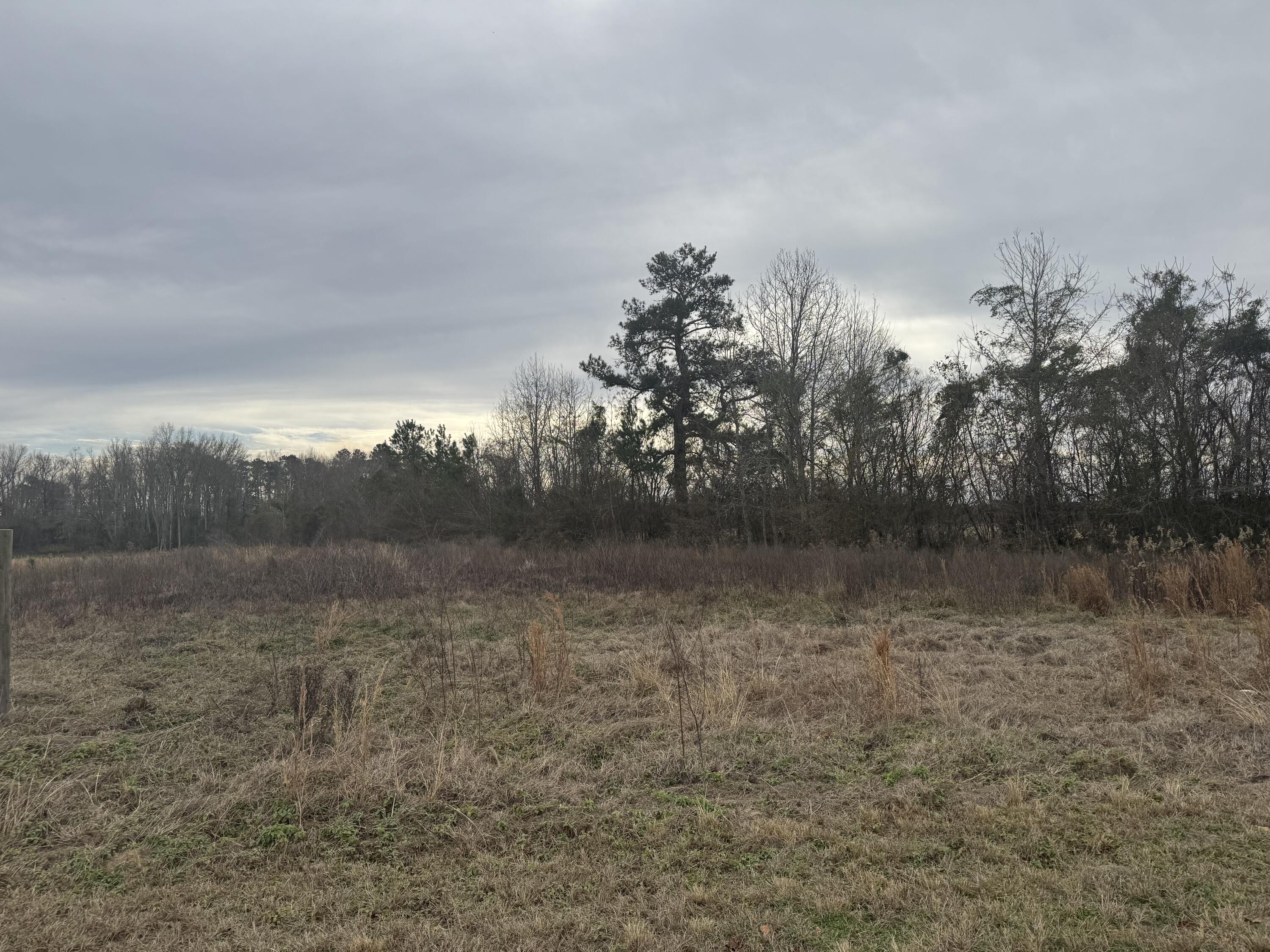 370 Shady Grove Road Ulmer, SC 29849 - Photo 6 of 22 IMG_2485