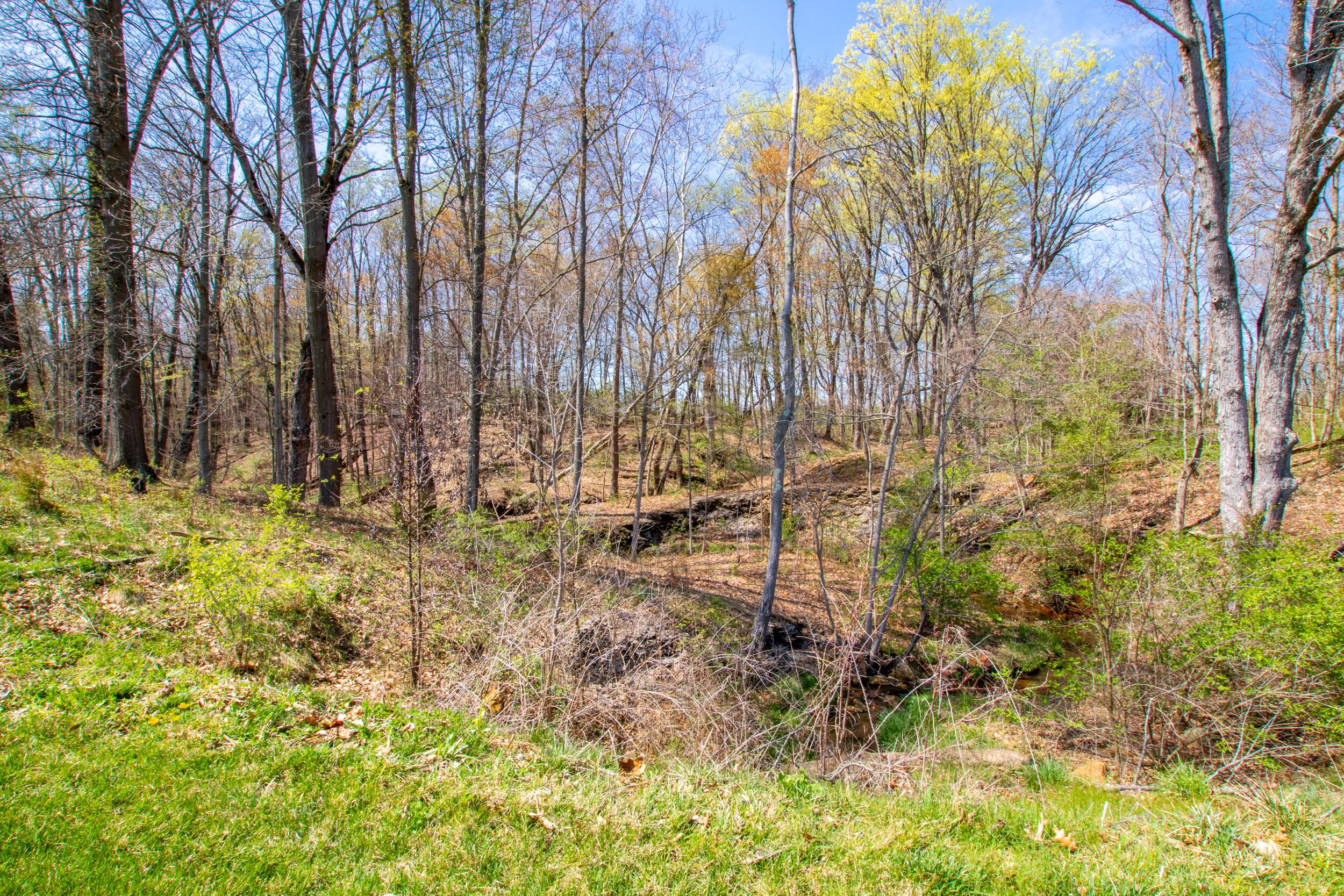 975 Lale Point Delaware, OH 43015 - Photo 11 of 14 Gallery Image 11