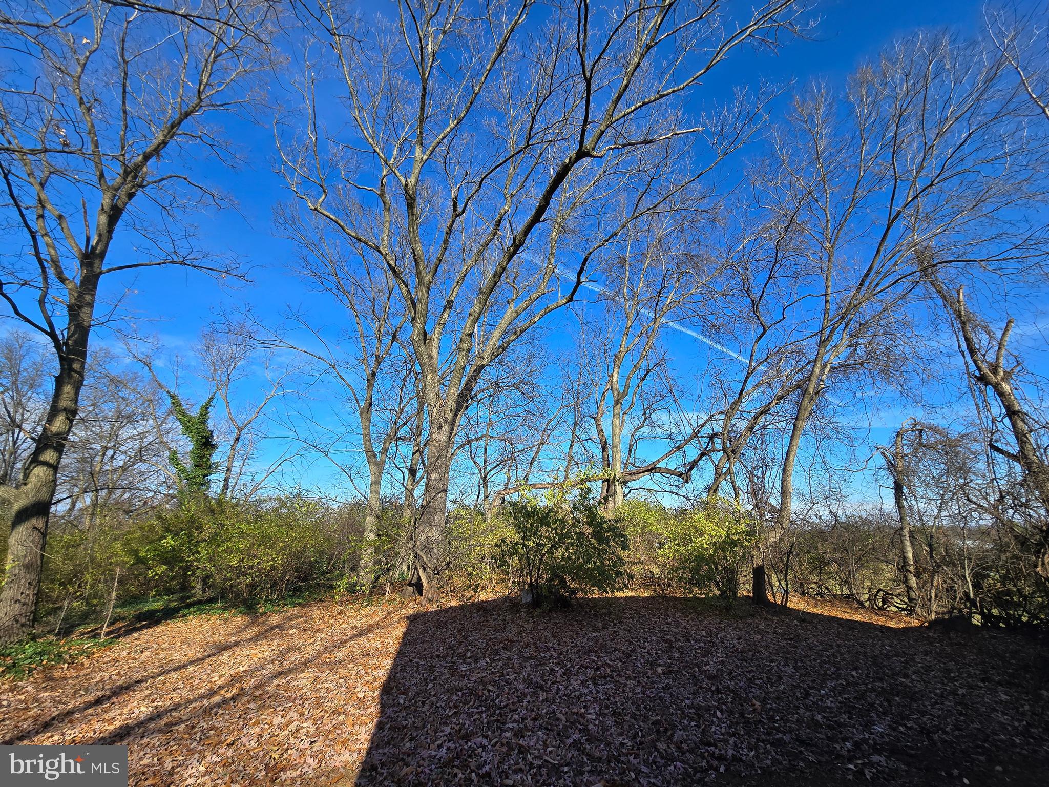 4304 Calvert Circle Frederick, MD 21703 - Photo 73 of 77
