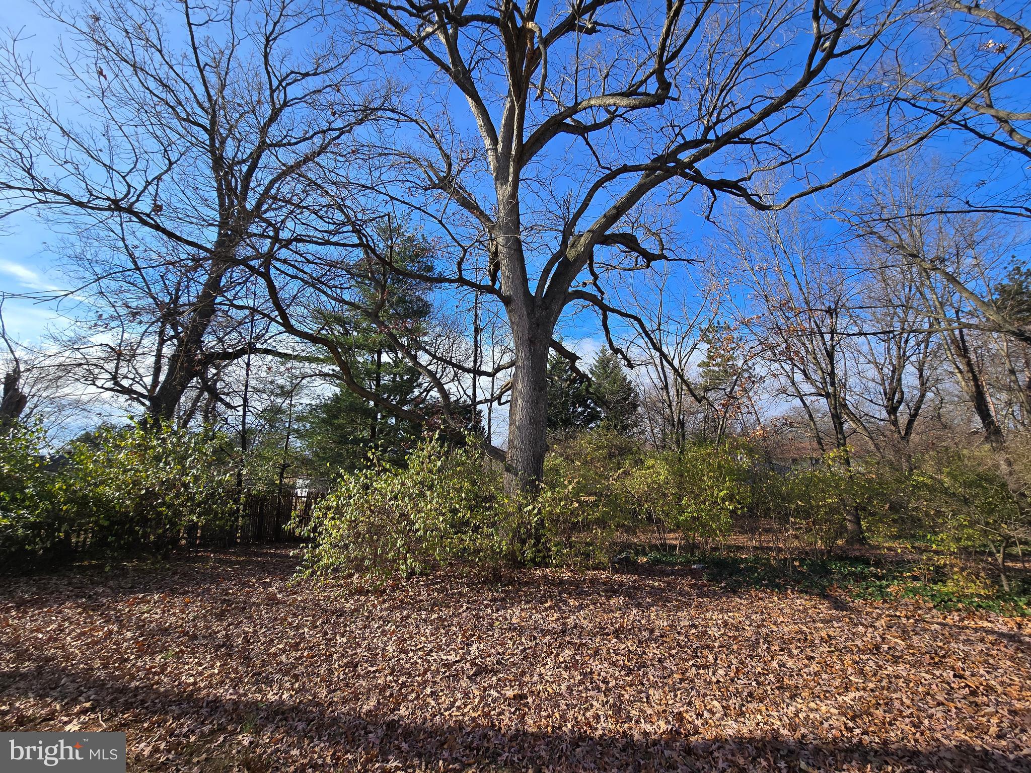 4304 Calvert Circle Frederick, MD 21703 - Photo 74 of 77