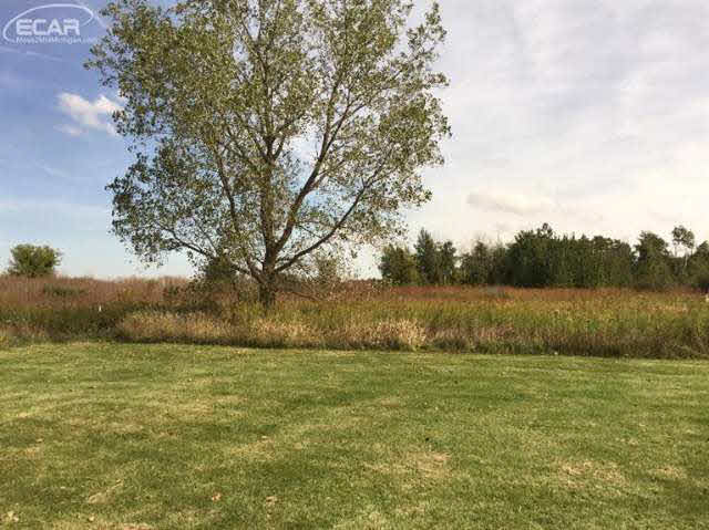 6050 Bailey Road Yale, MI 48097 - Photo 25 of 35 20449153-25.JPG