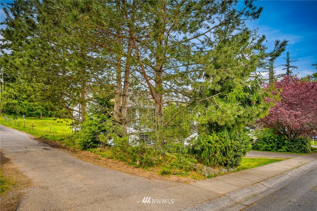 3901 Magrath Road Bellingham, WA 98226 - Photo 4 of 34