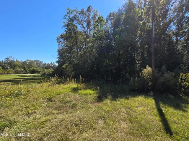 $15,000 | 7 G Morgan Road, Laurel, MS 39443