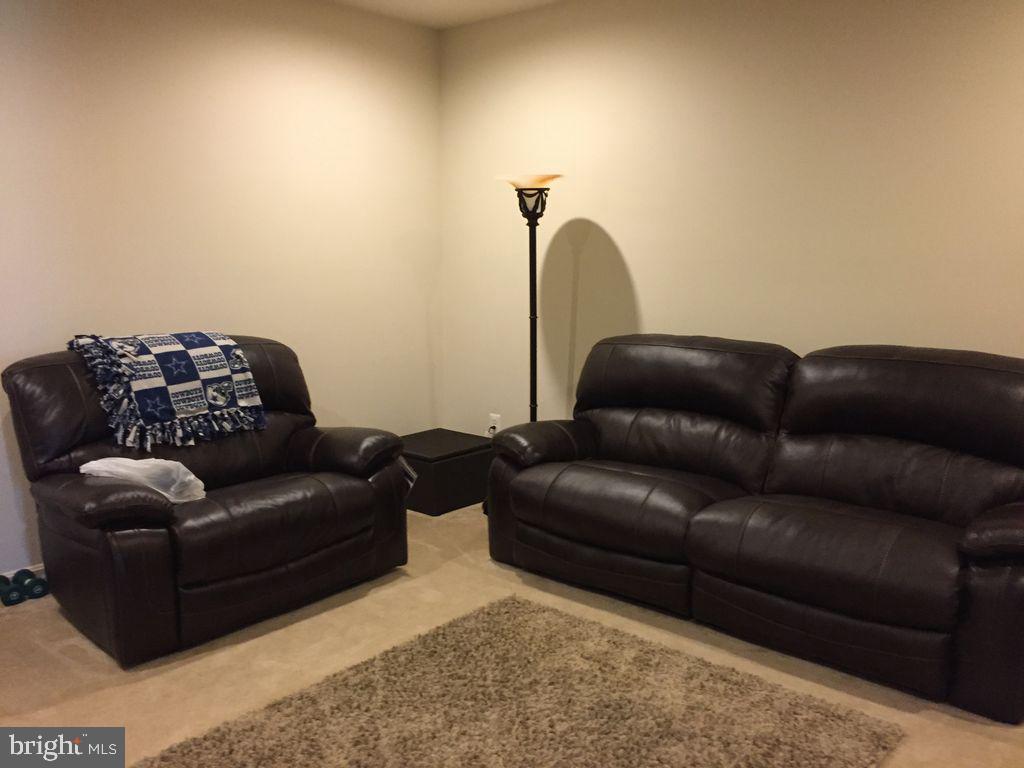 42268 Rhett Drive Brambleton, VA 20148 - Photo 10 of 17 Rec Room at lower level