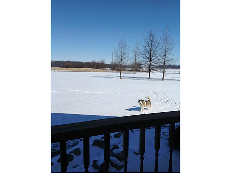 1781 Boxley Road Sheridan, IN 46069 - Photo 21 of 24 Gallery Image 21