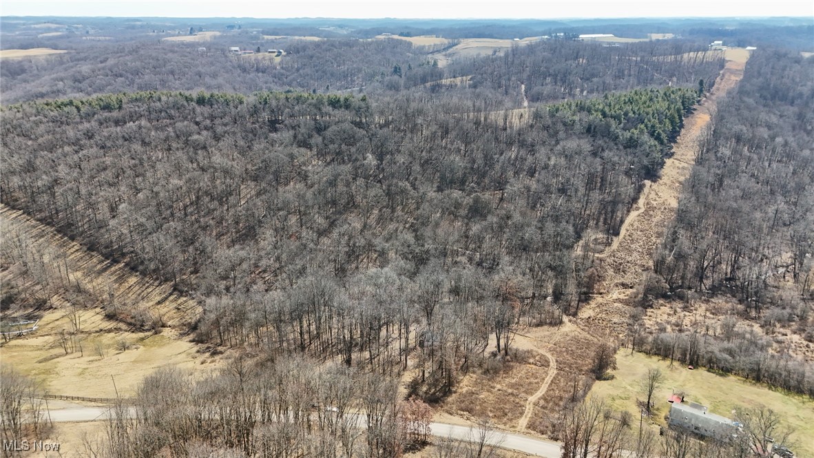 0 Bower Road Scio, OH 43988 - Photo 9 of 42 Bird's eye view with a forest view