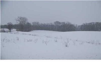 11728 Belding Road Northeast Belding, MI 48809 - Photo 1 of 1 Primary Photo