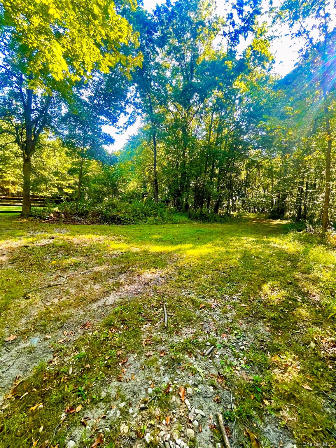 Tbd Bull Road Washingtonville, NY 10992 - Photo 2 of 8 a view of a yard with a tree