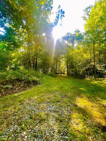 a view of yard with green space