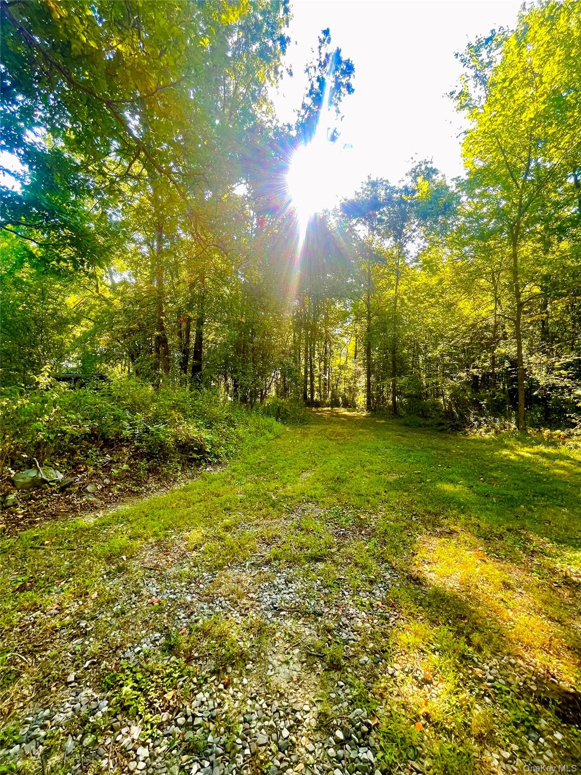 Tbd Bull Road Washingtonville, NY 10992 - Photo 4 of 8 a view of yard with green space