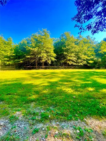 a view of an ocean in a yard
