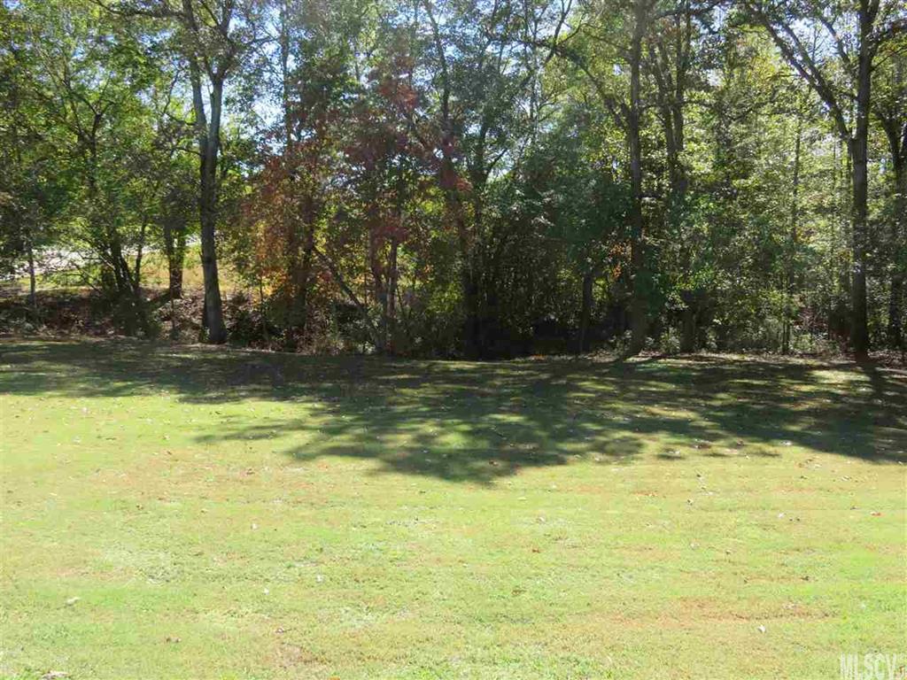 3935 Acre Road Maiden, NC 28650 - Photo 15 of 20