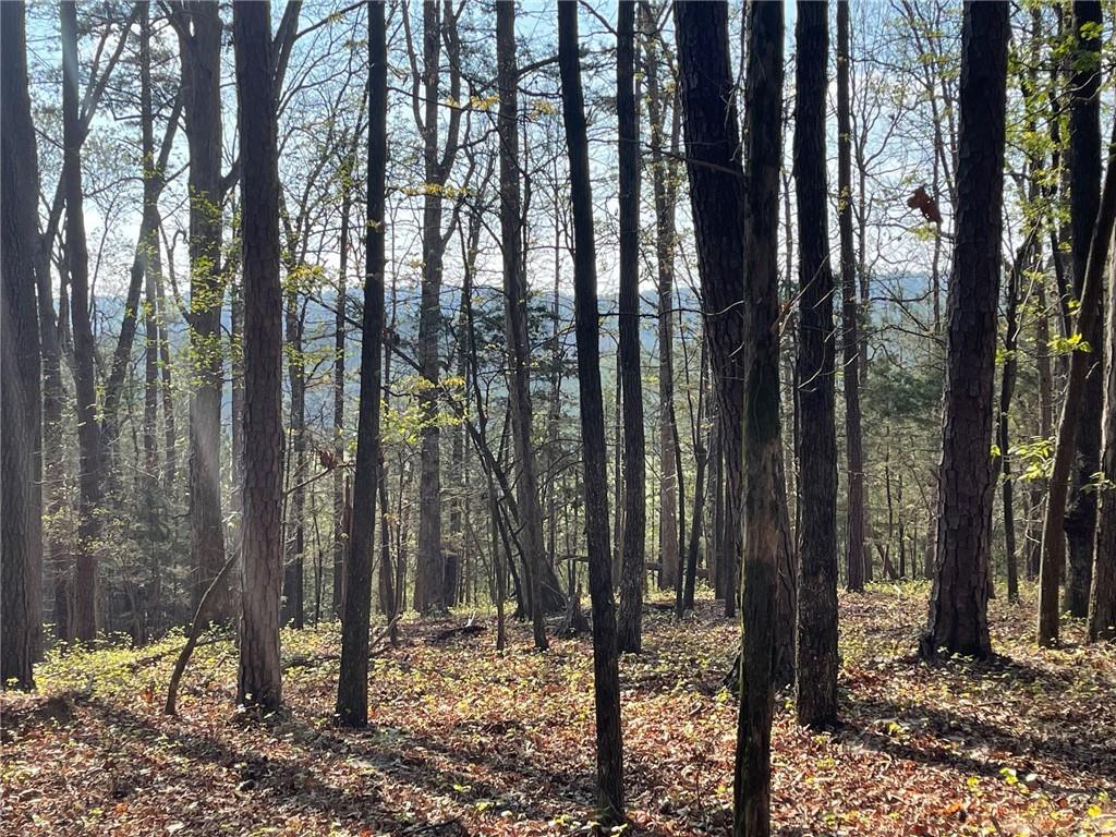 Lot 12 Chalcrest Way Cave Spring, GA 30124 - Photo 14 of 59 a view of a backyard of the trees