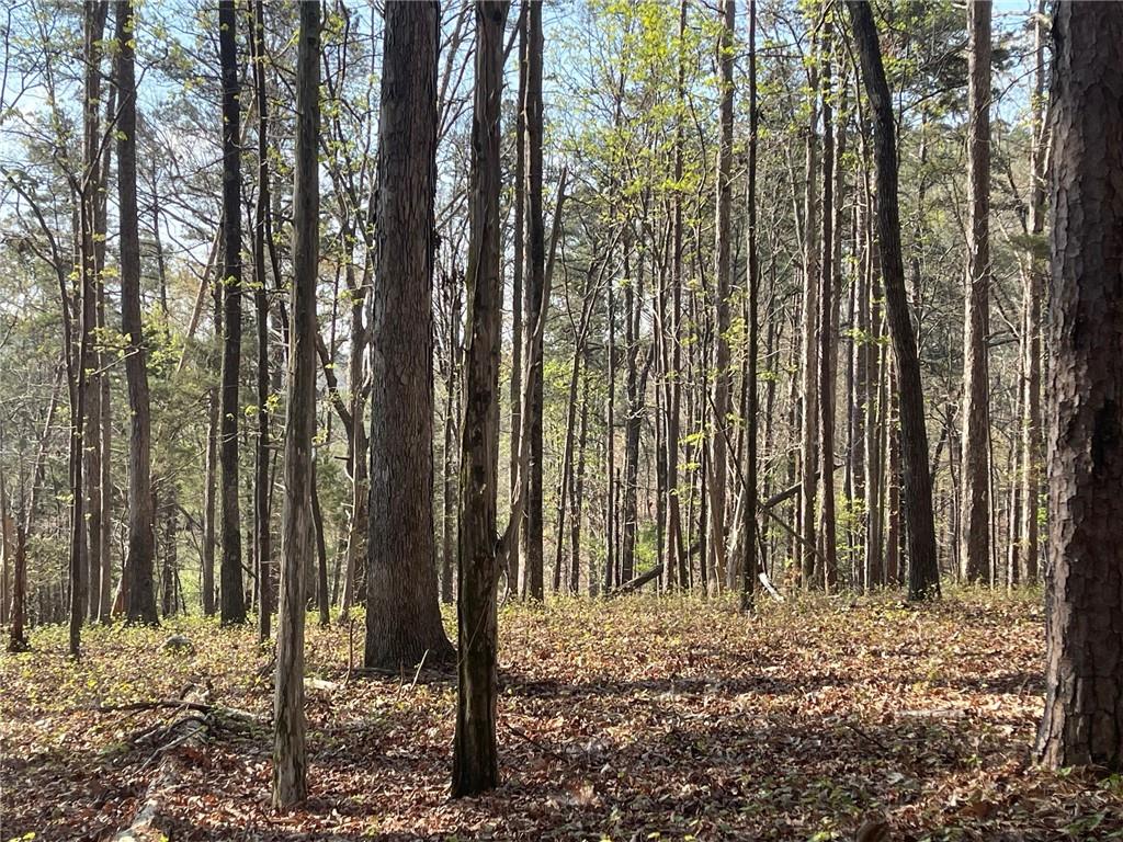 Lot 12 Chalcrest Way Cave Spring, GA 30124 - Photo 15 of 59 a view of a backyard of the trees