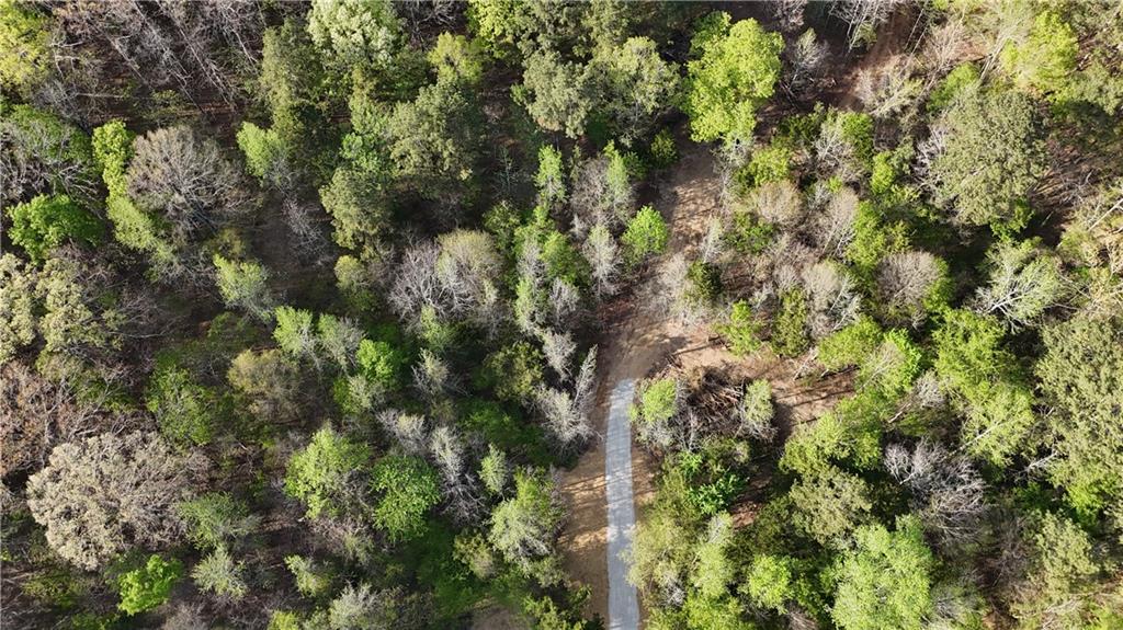 Lot 12 Chalcrest Way Cave Spring, GA 30124 - Photo 17 of 59 a view of a forest