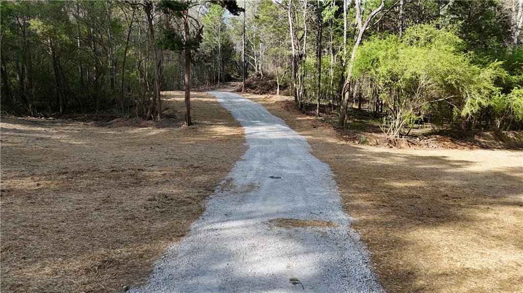 Lot 12 Chalcrest Way Cave Spring, GA 30124 - Photo 25 of 59 a view of a yard with plants and trees