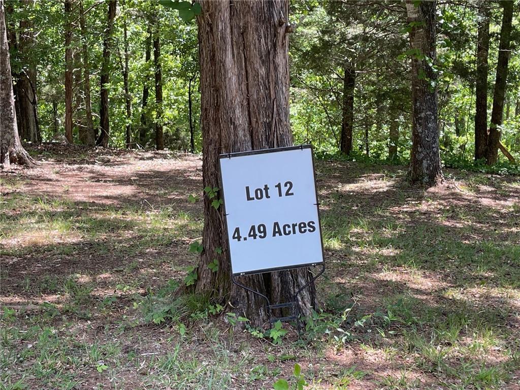 Lot 12 Chalcrest Way Cave Spring, GA 30124 - Photo 3 of 59