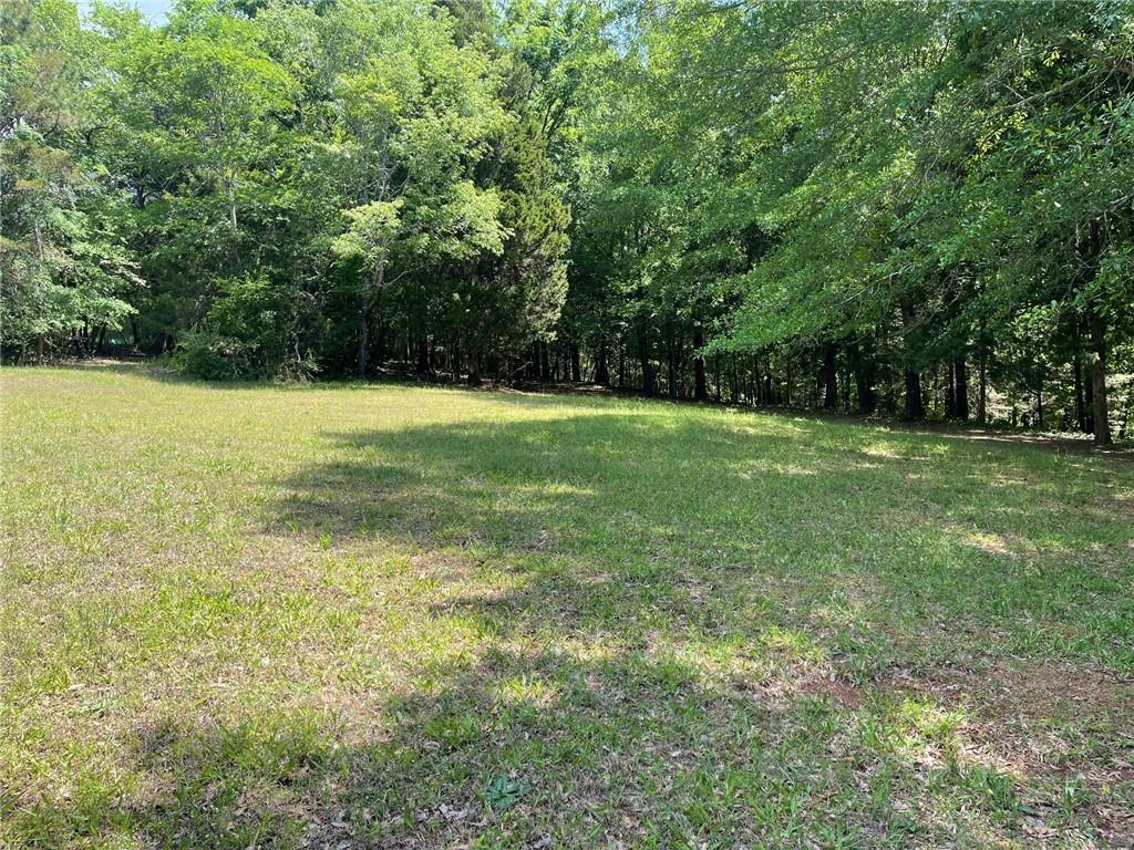 Lot 12 Chalcrest Way Cave Spring, GA 30124 - Photo 4 of 59 a view of a field with a trees in the background