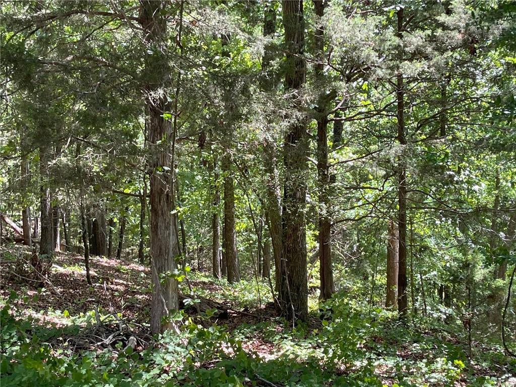Lot 12 Chalcrest Way Cave Spring, GA 30124 - Photo 5 of 59 a view of forest