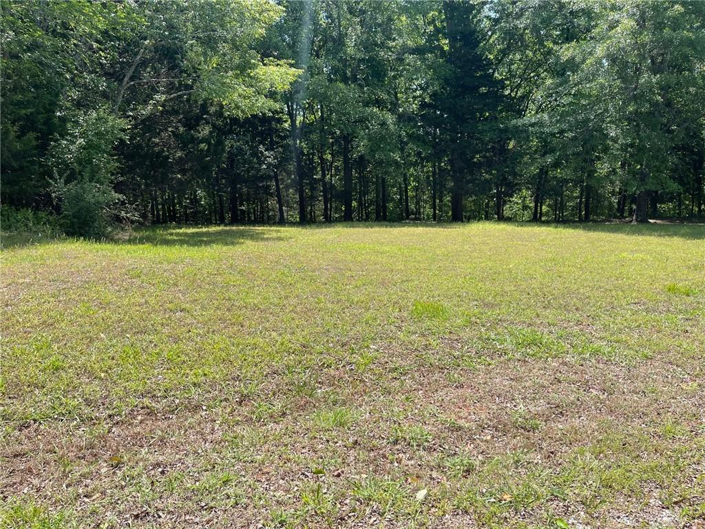 Lot 12 Chalcrest Way Cave Spring, GA 30124 - Photo 7 of 59