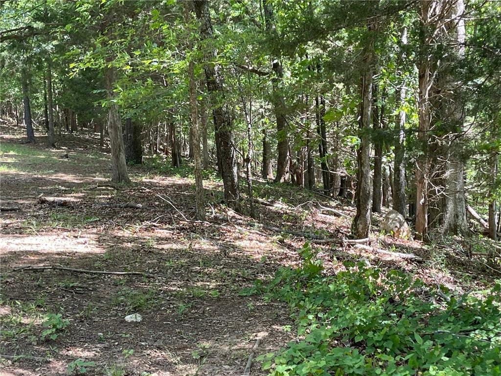 Lot 12 Chalcrest Way Cave Spring, GA 30124 - Photo 8 of 59 a backyard of a house with lots of green space