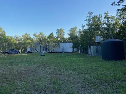 a view of a trees in a yard