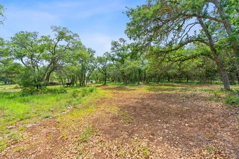 a view of a field with trees in background