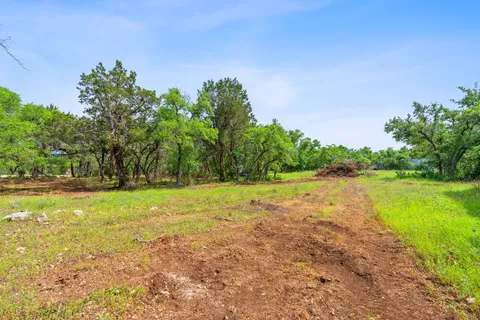 a view of a big yard with large trees