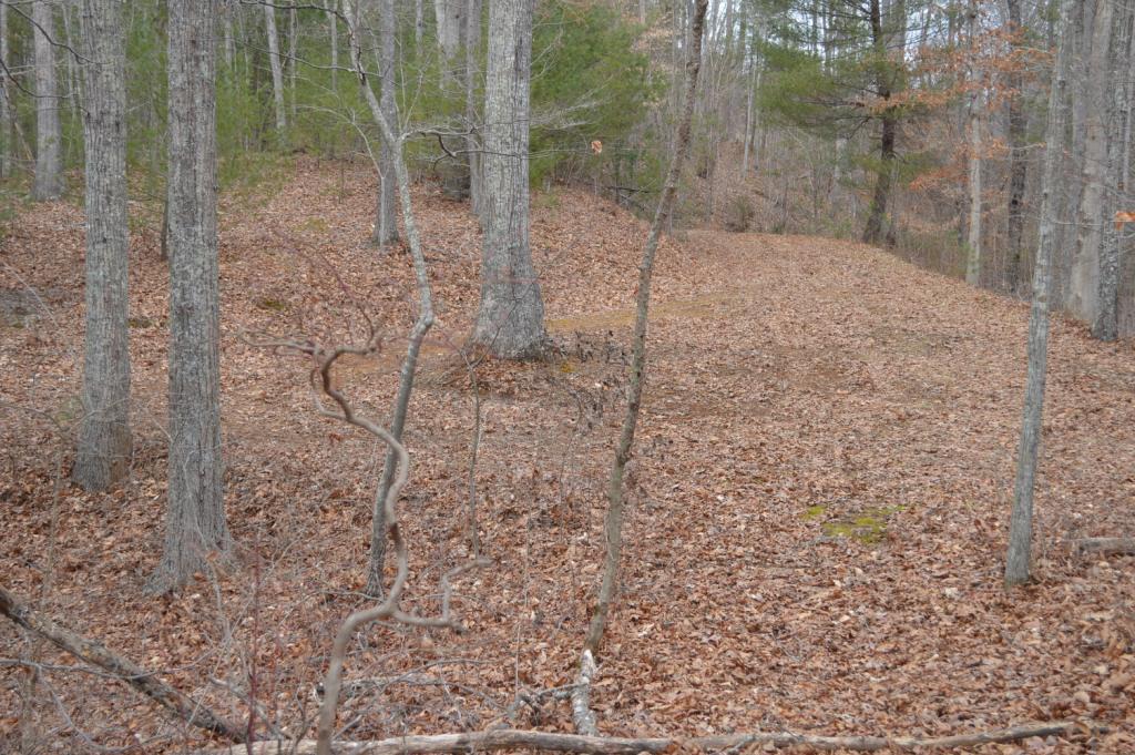 Lot 2 Hidden Grove Court Goodview, VA 24095 - Photo 11 of 13 a view of a pathway