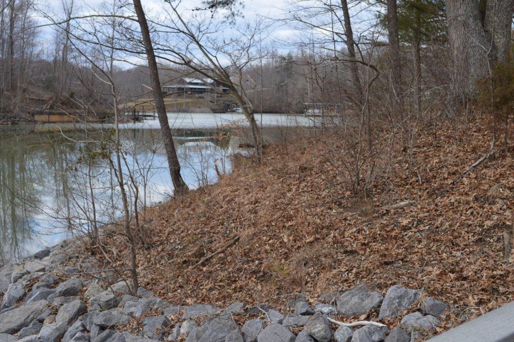 Lot 2 Hidden Grove Court Goodview, VA 24095 - Photo 7 of 13 a view of a yard with plants and trees