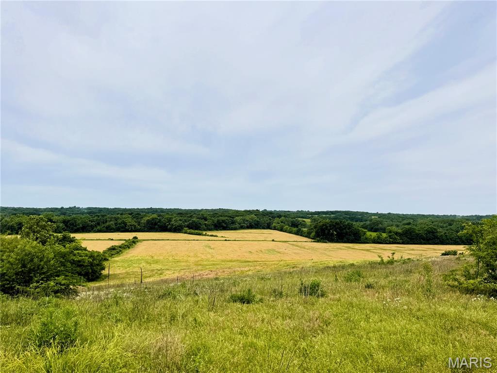 0 Knox Road Marceline, MO 64658 - Photo 6 of 12
