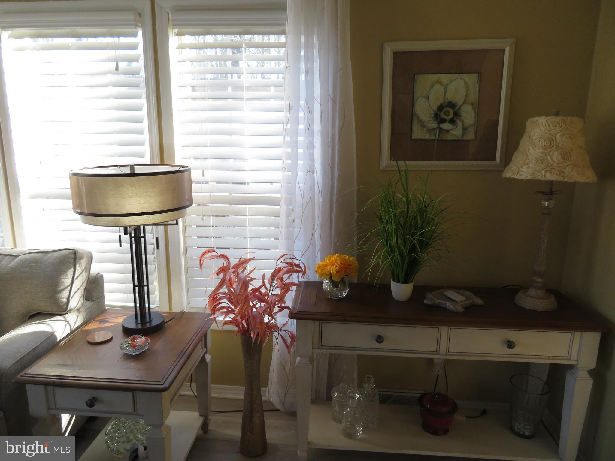 120 Skipjack Circle Berlin, MD 21811 - Photo 8 of 91