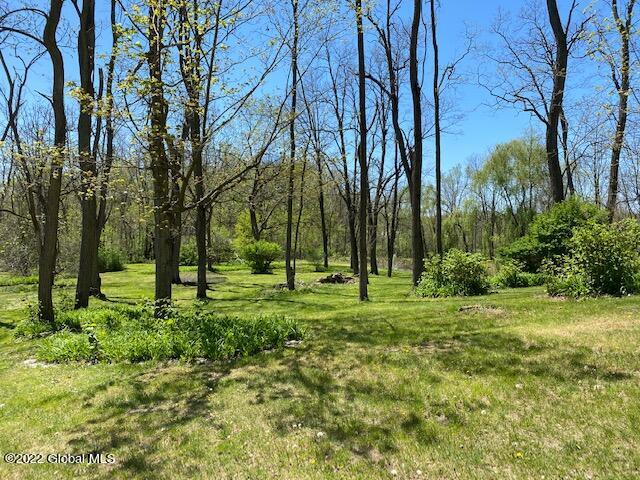 200 Phillips Road East Greenbush, NY 12144 - Photo 76 of 89 IMG_9099