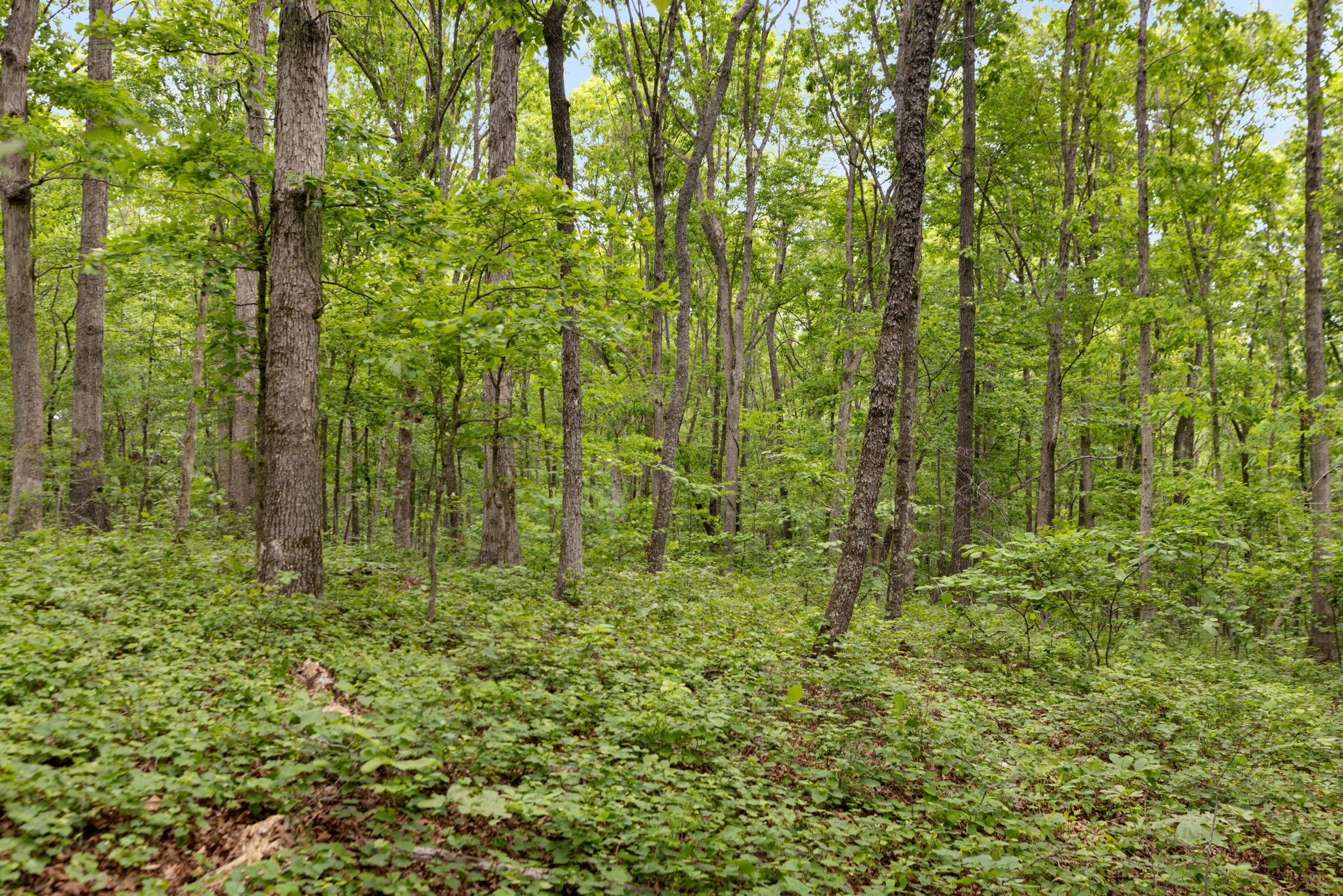 0 Old Road, Unit ONE Dickson, TN 37055 - Photo 11 of 29