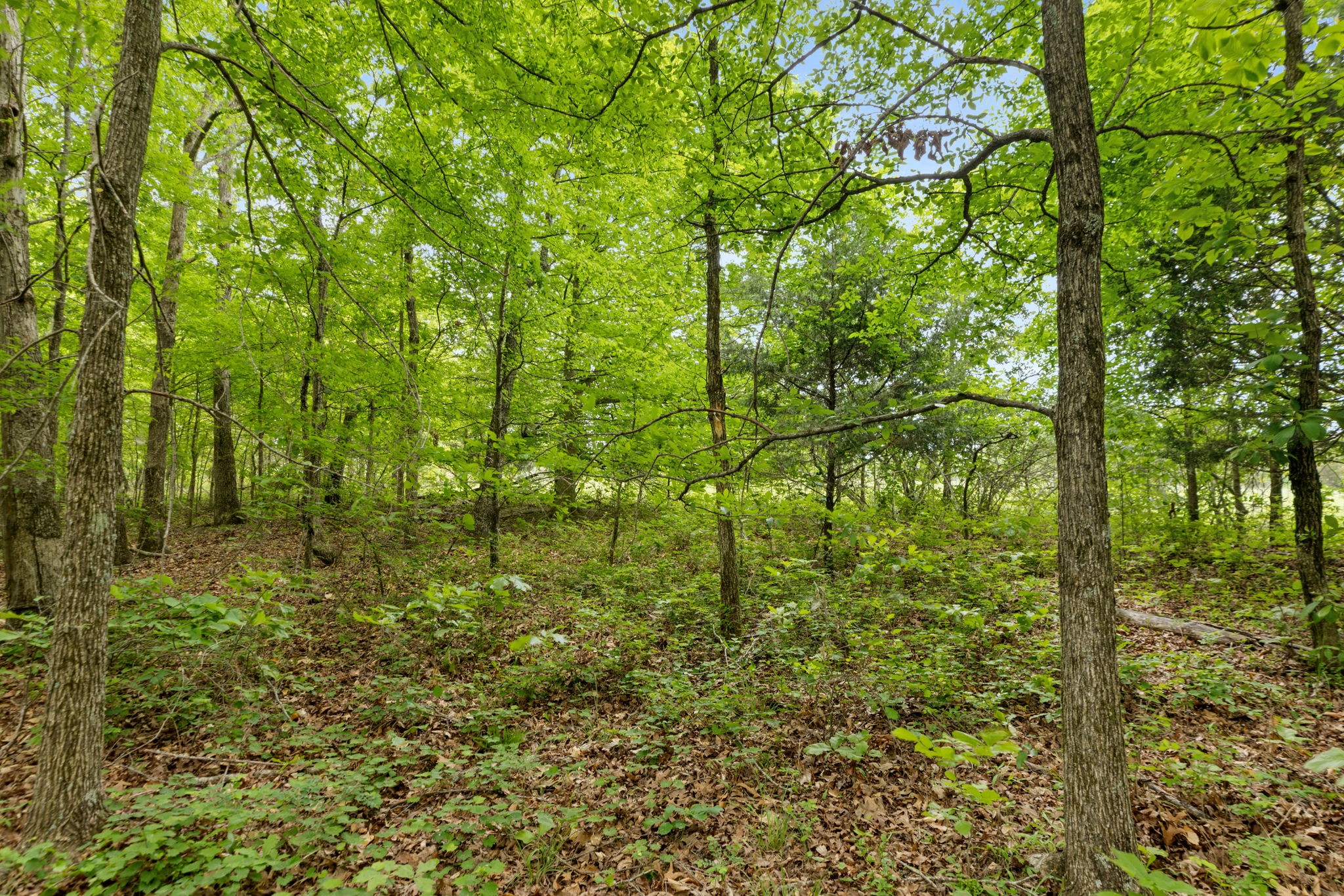 0 Old Road, Unit ONE Dickson, TN 37055 - Photo 15 of 29 a view of a yard
