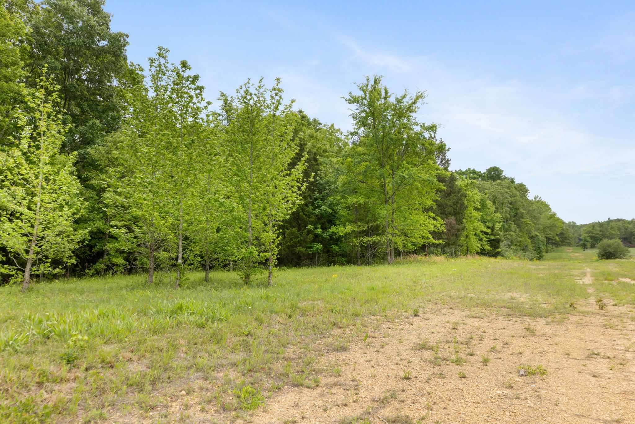 0 Old Road, Unit ONE Dickson, TN 37055 - Photo 18 of 29 a view of outdoor space with trees all around