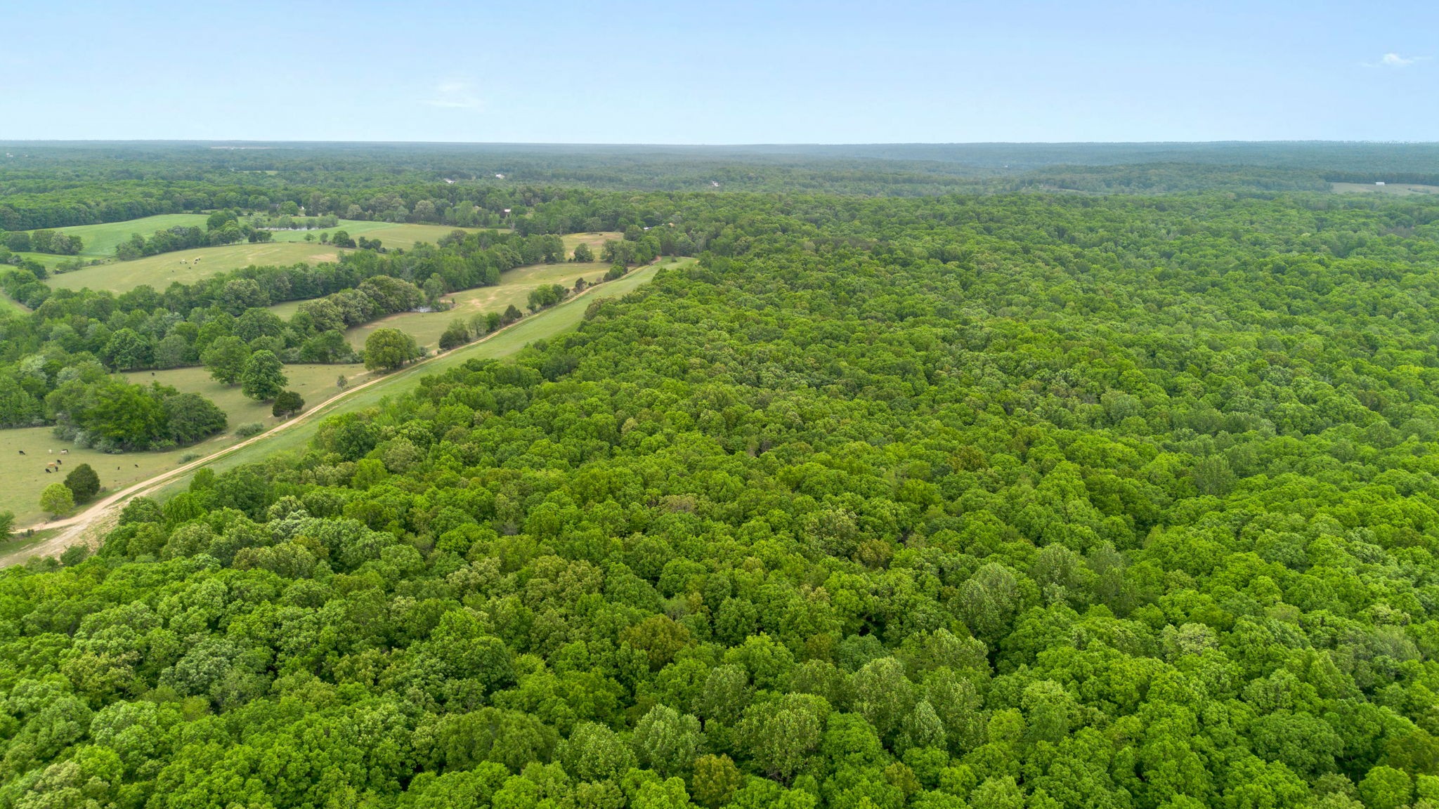 0 Old Road, Unit ONE Dickson, TN 37055 - Photo 28 of 29 an aerial view of residential houses with outdoor space and trees
