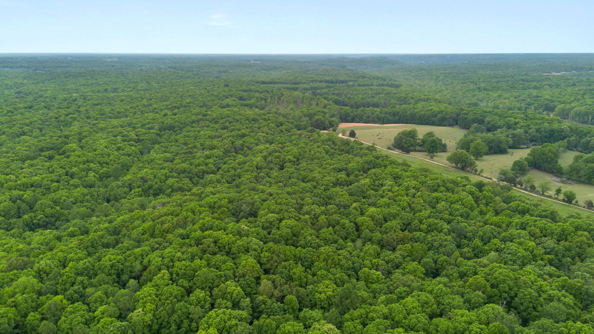 0 Old Road, Unit ONE Dickson, TN 37055 - Photo 29 of 29 a view of outdoor space and yard