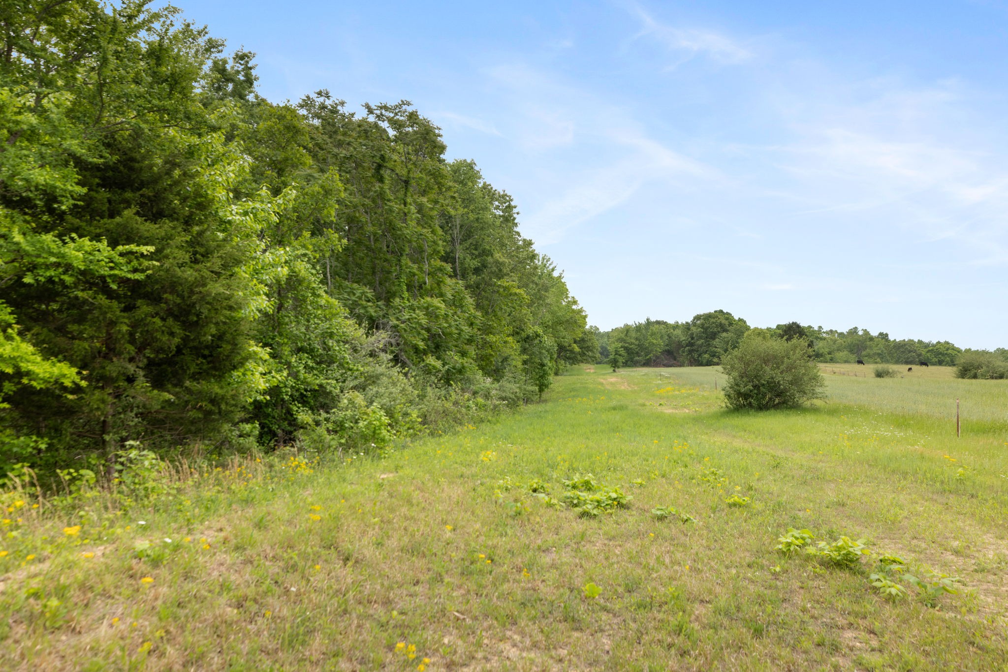 0 Old Road, Unit ONE Dickson, TN 37055 - Photo 3 of 29 a view of an ocean from a yard