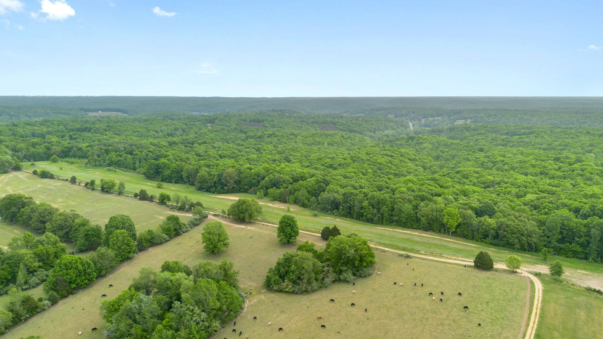 0 Old Road, Unit ONE Dickson, TN 37055 - Photo 4 of 29 a view of a field with an ocean