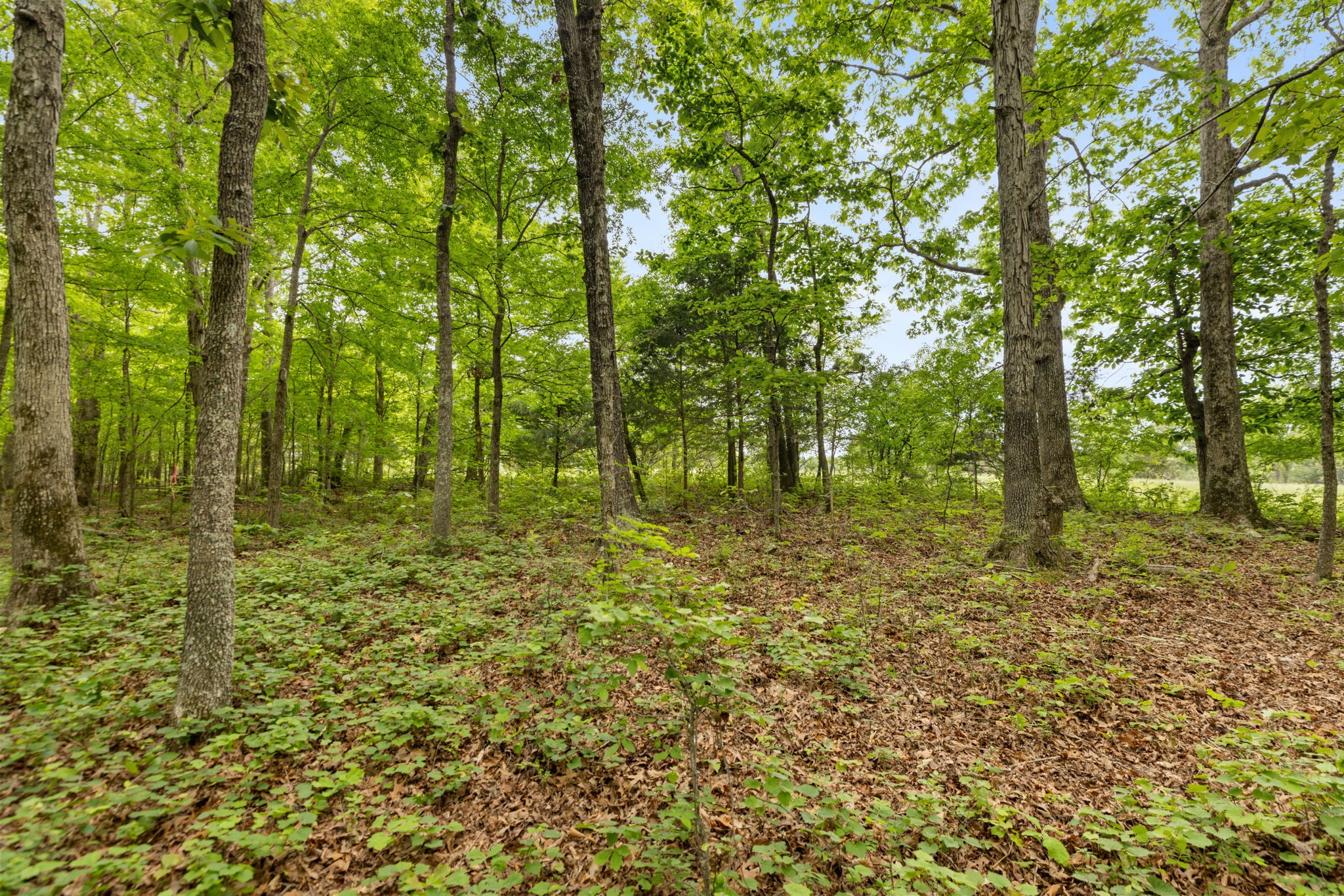 0 Old Road, Unit ONE Dickson, TN 37055 - Photo 9 of 29 a view of outdoor space with green space